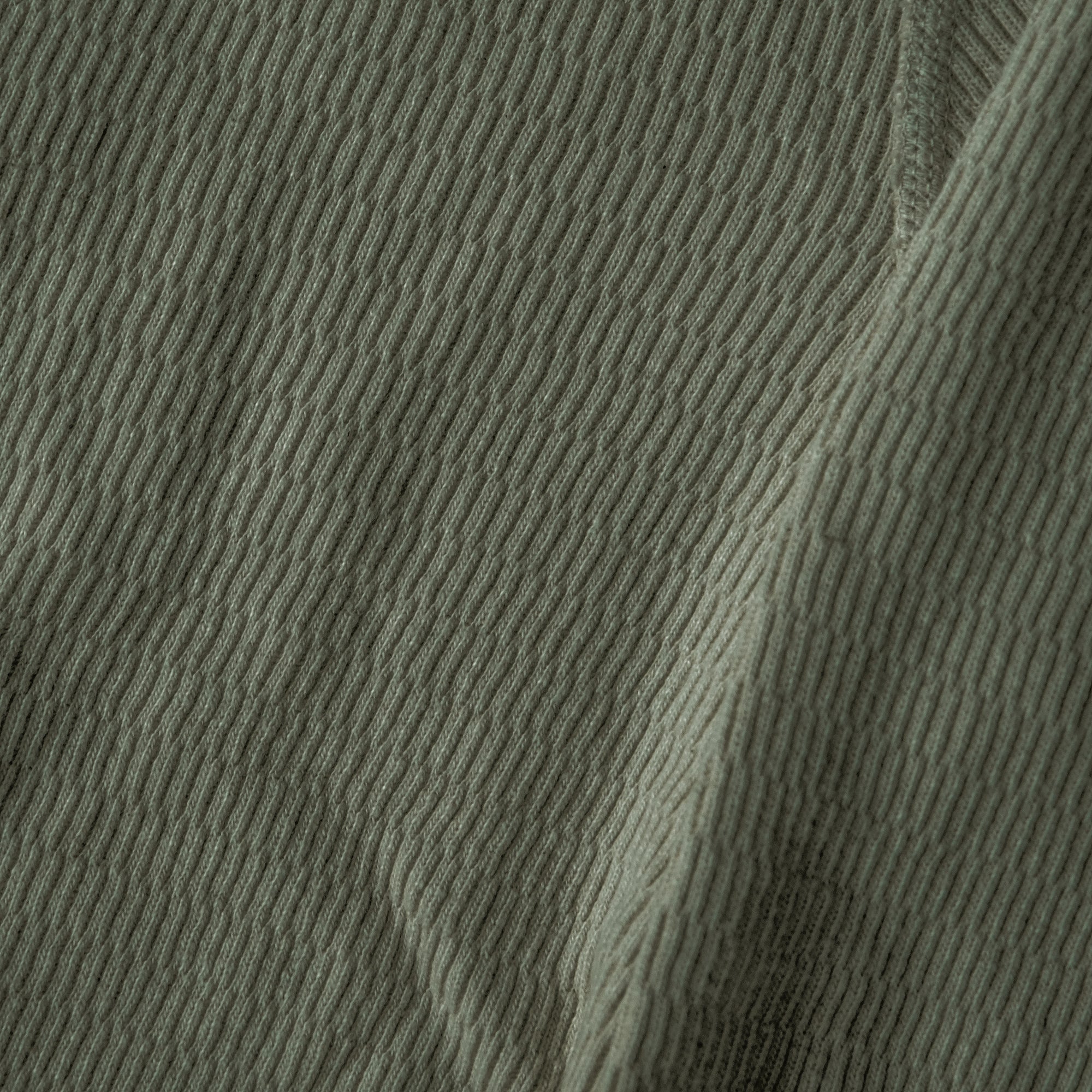 Loop & Weft Supima Long Honeycomb Thermal Henley (Olive)